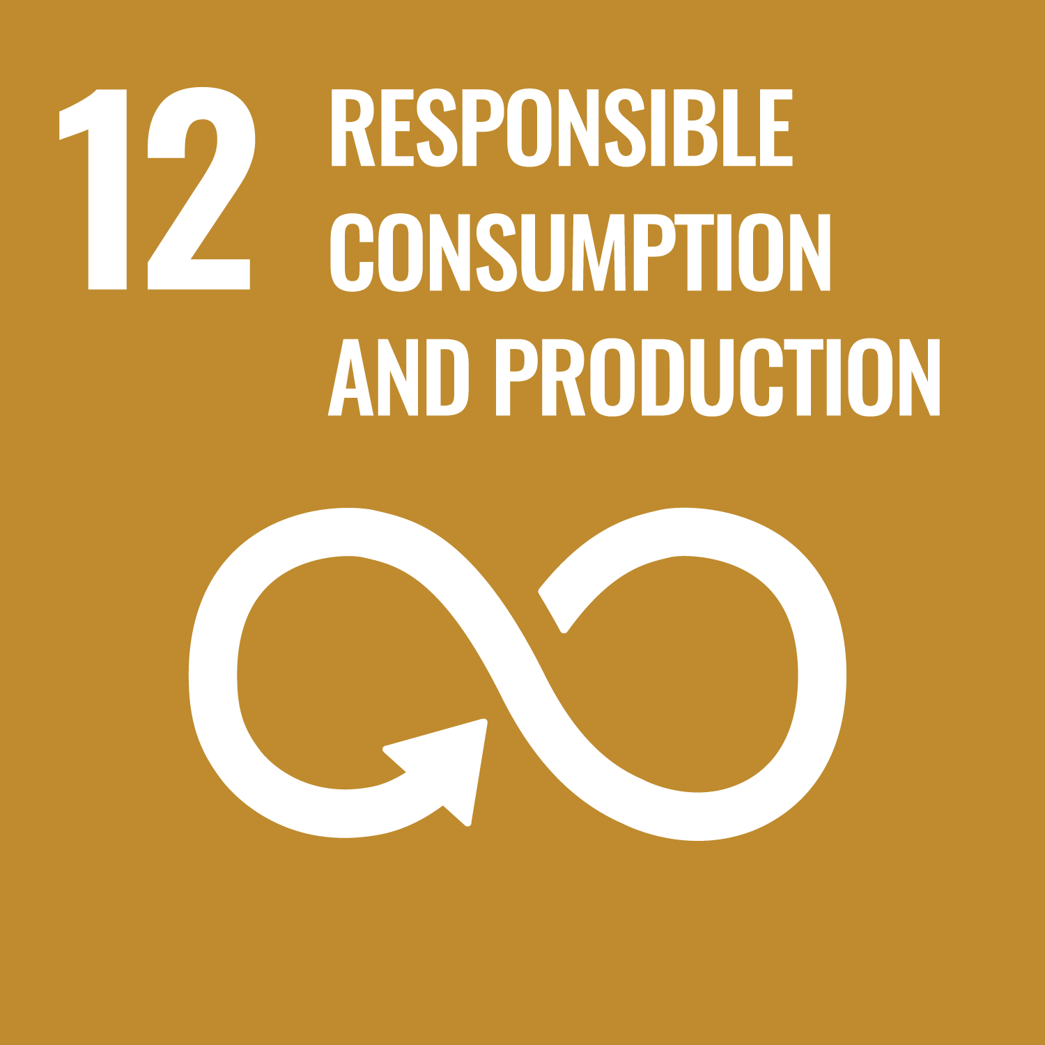 SDG number 12 Responsible consumption and production