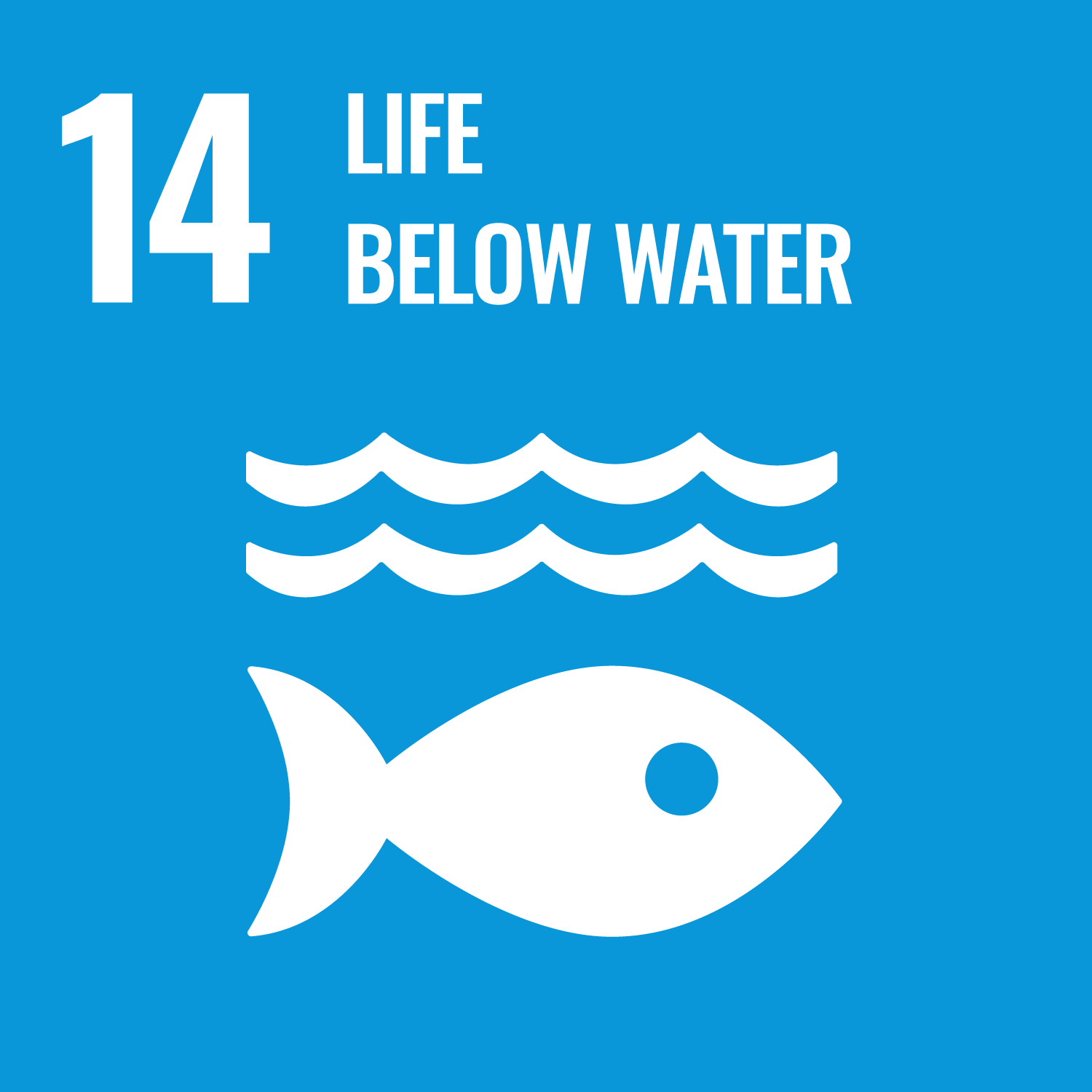 SDG number 14 Life below water