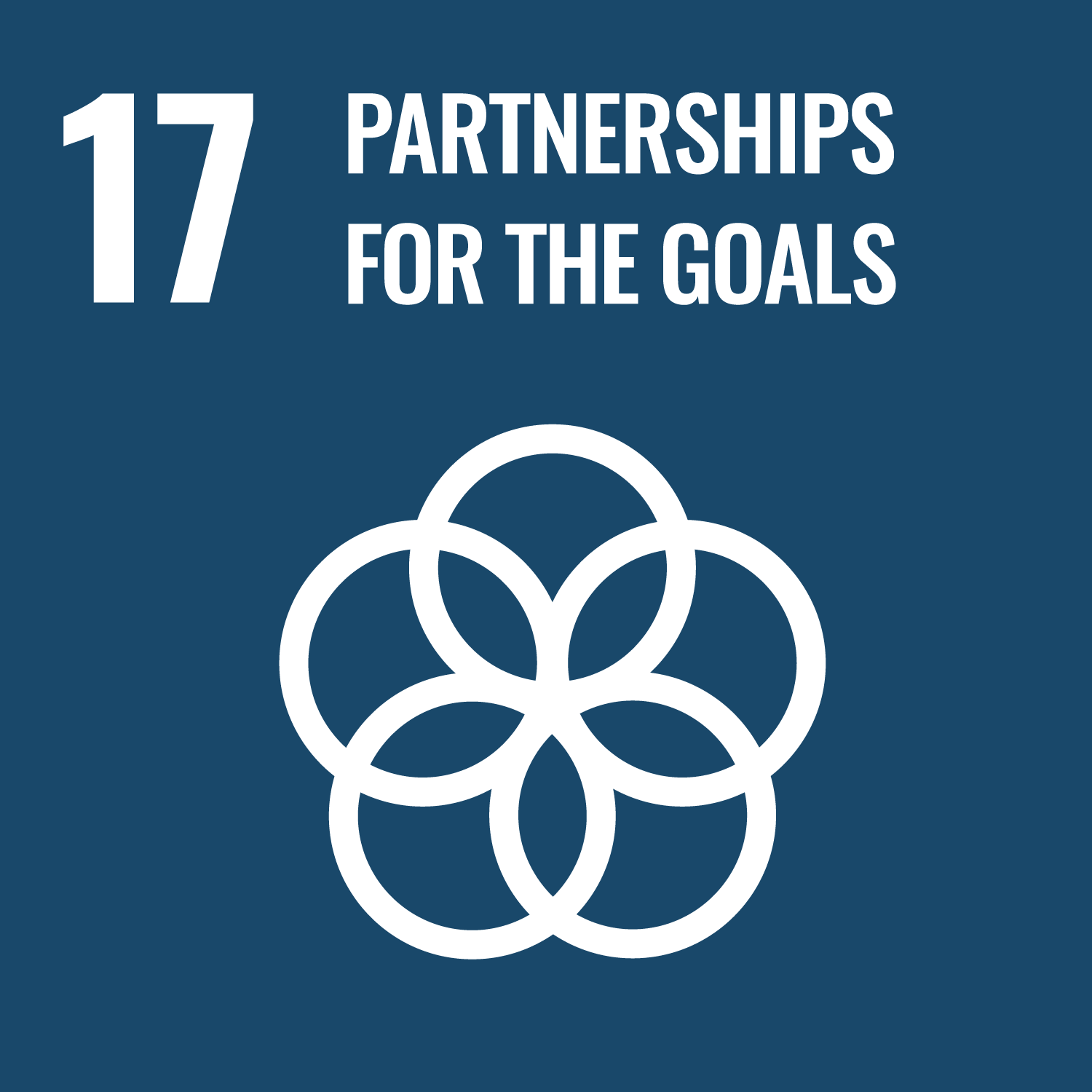 SDG number 17 Partnerships for the goals