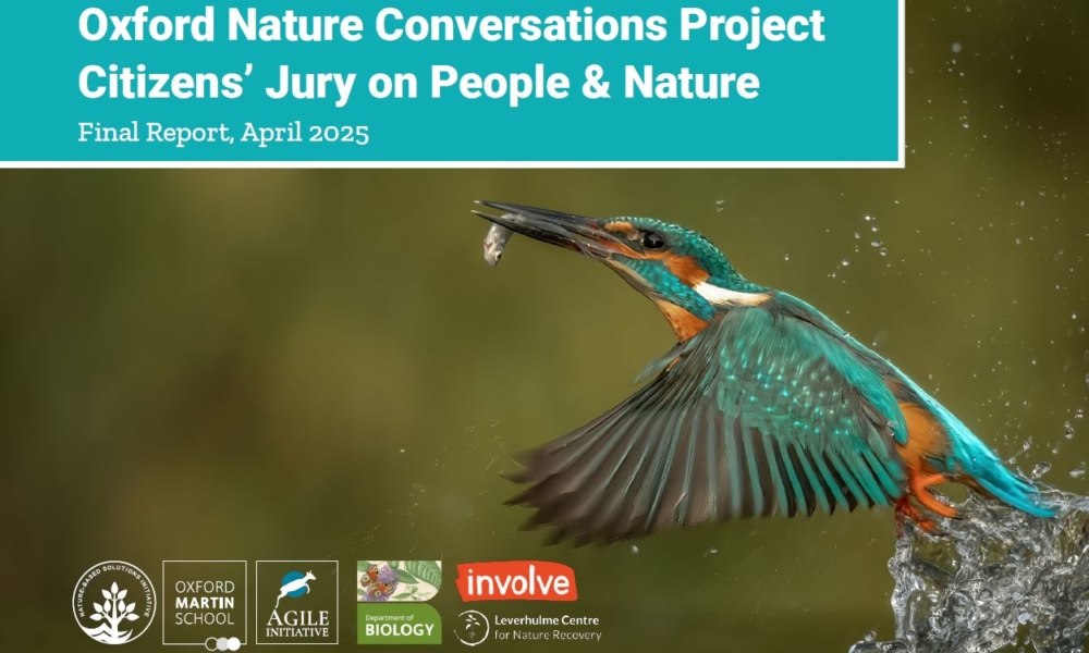 Report front cover