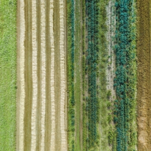 Aerial drone image of fields with diverse crop growth