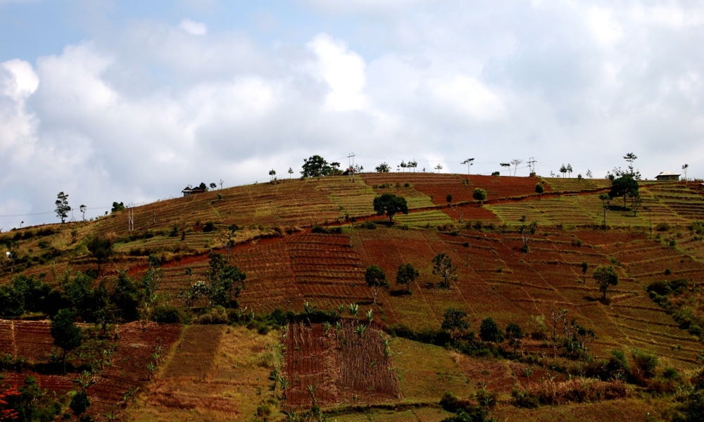 Photo of deforestation by Ikhlasul Amal on Flickr