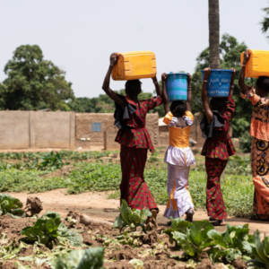 Group of young black West African girls carrying heavy water containers on their head