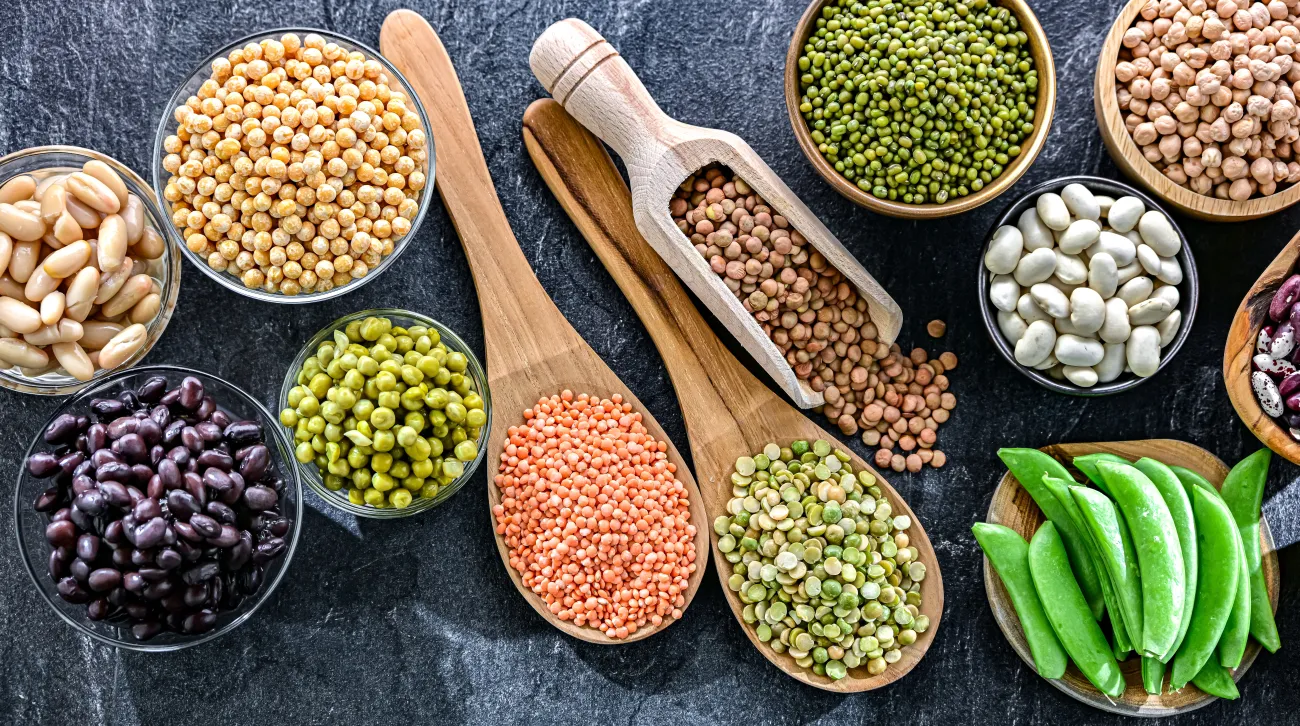 There is no “magic bean” solution: new roadmap explores how to scale UK pulses