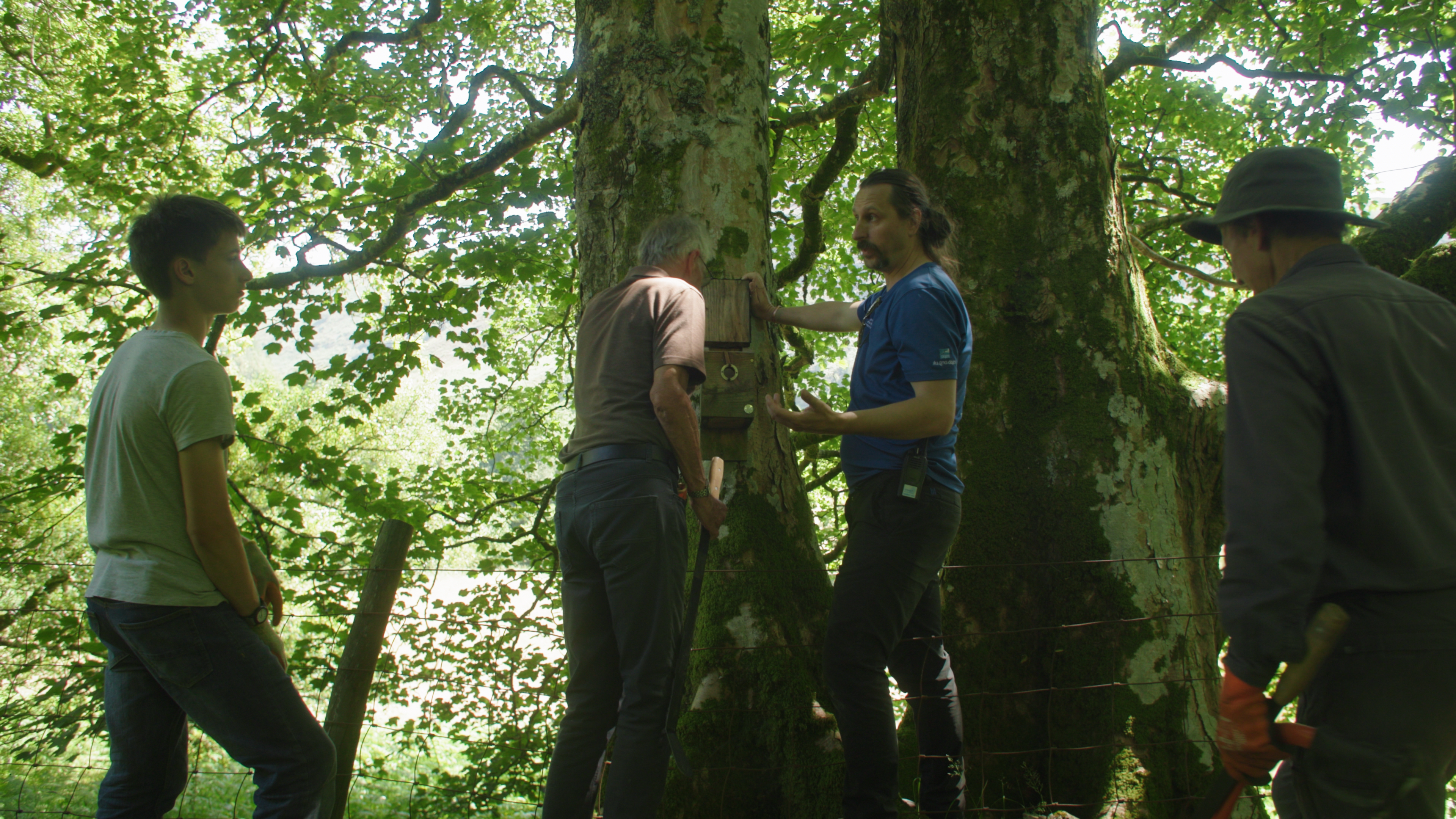 The power of place: Community stewardship in Wales