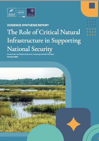 The Role of Critical Natural Infrastructure in Supporting National Security, EVIDENCE SYNTHESIS REPORT