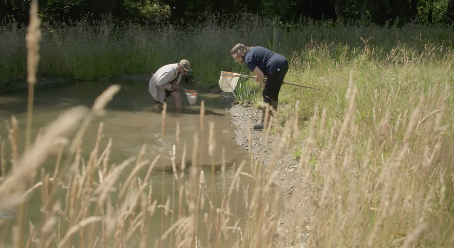 The River Lugg: A win-win for farming and nature